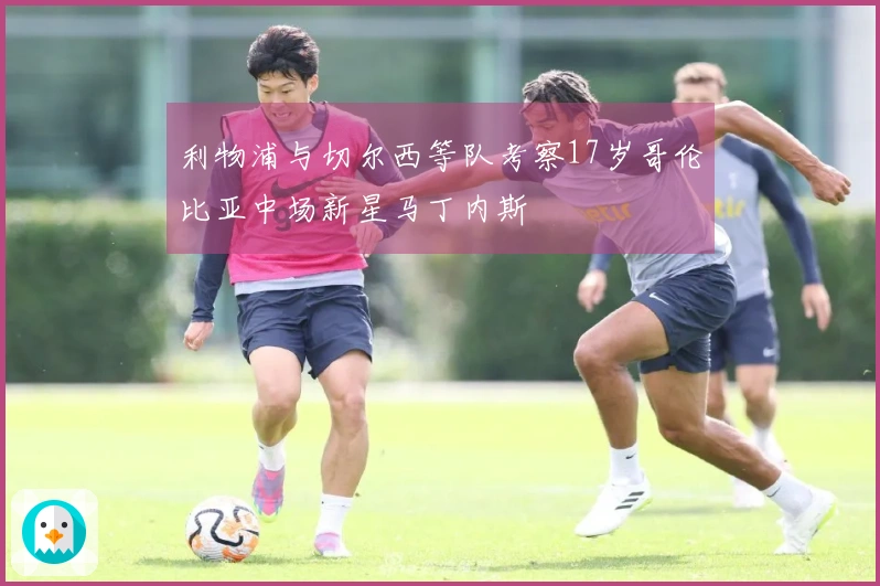 利物浦与切尔西等队考察17岁哥伦比亚中场新星马丁内斯